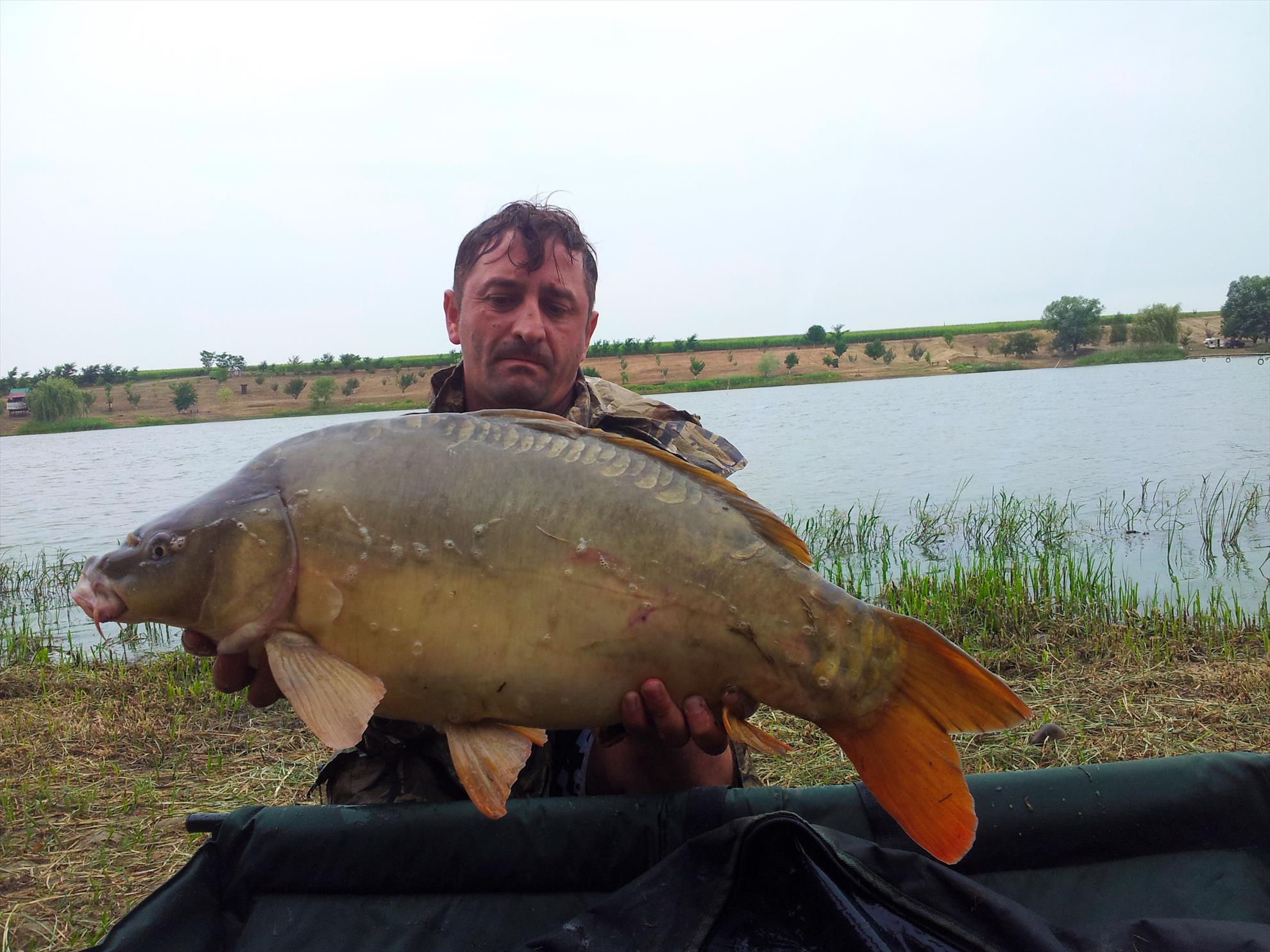 O partida pe Cetariu.... - 20150713114417.jpg